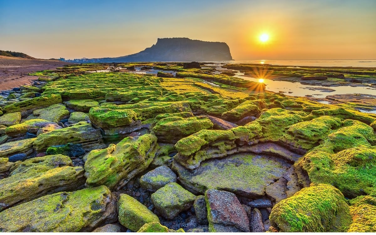 Watch the sun come up at Jeju’s Seongsan New Year Sunrise Festival