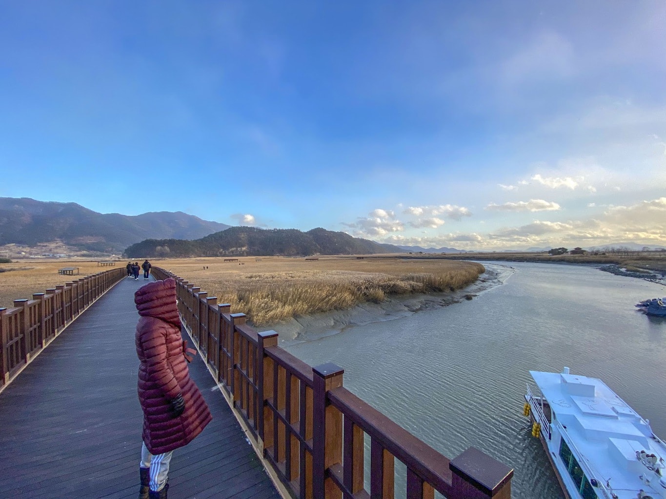 Suncheon Bay Biosphere Reserve in winter