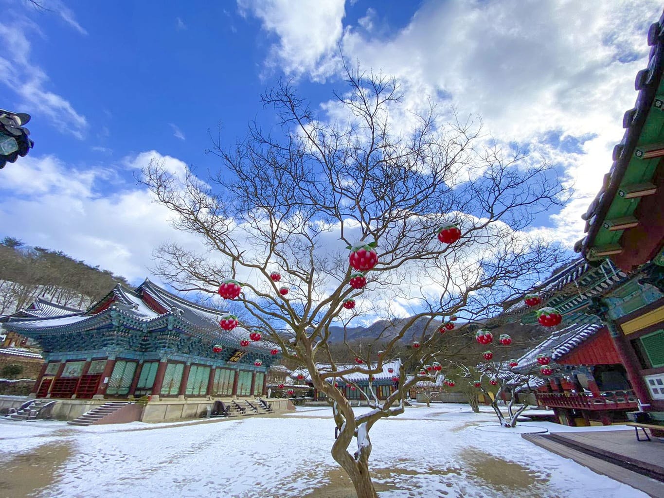 Songgwangsa Temple