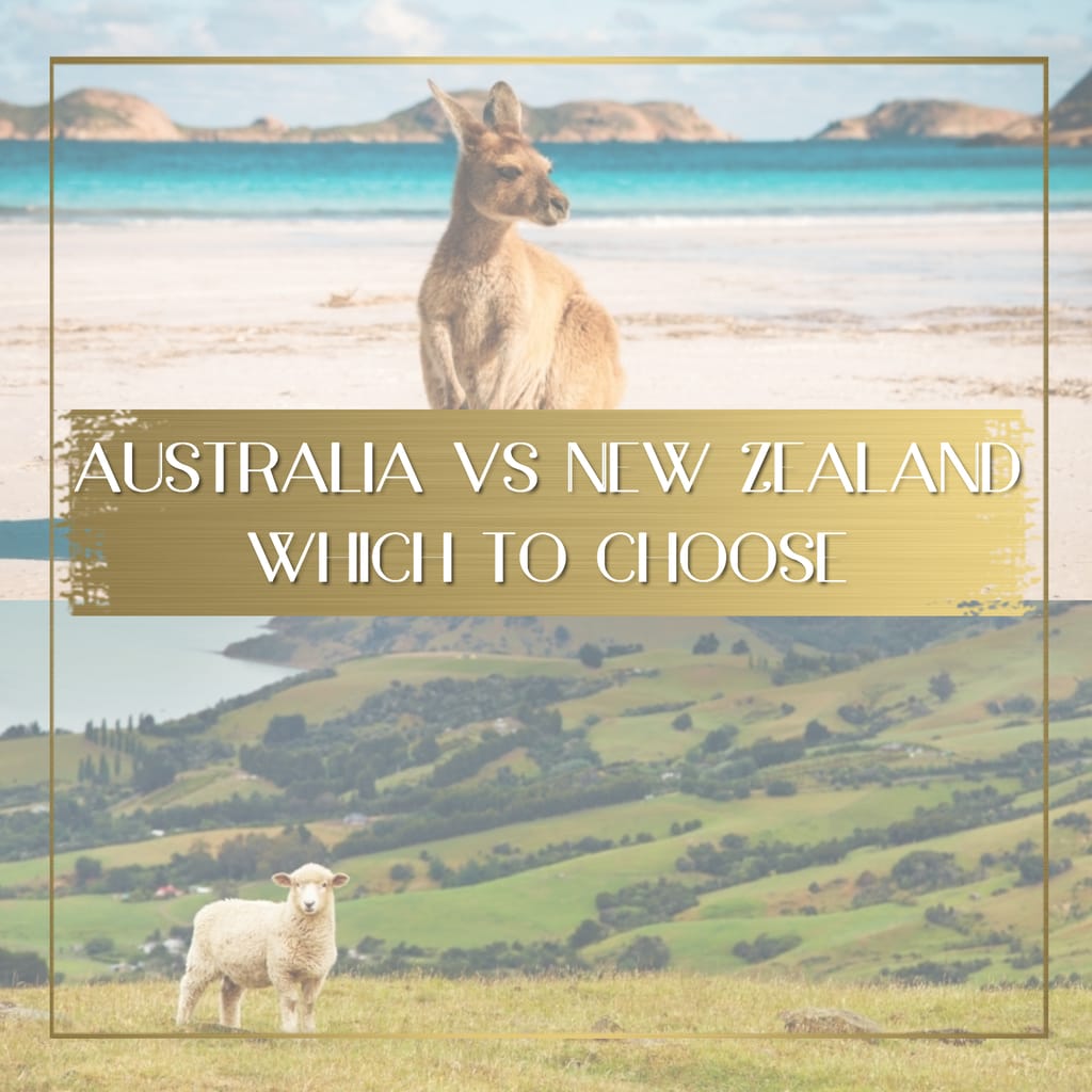 Australia vs New Zealand feature