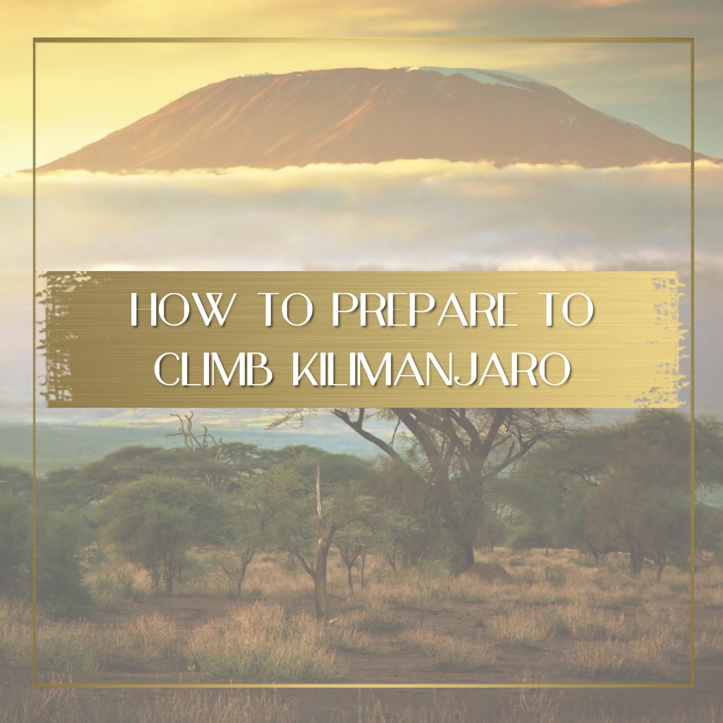 How to climb Kilimanjaro feature