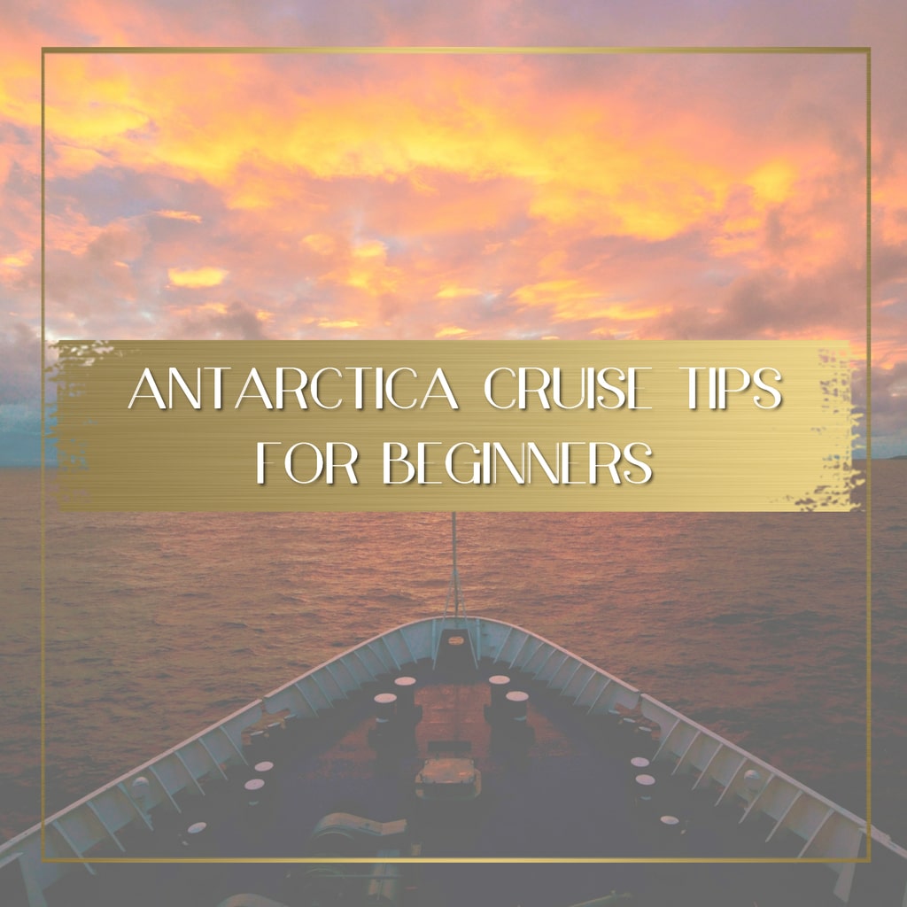 Antarctica Cruise Tips for beginners feature