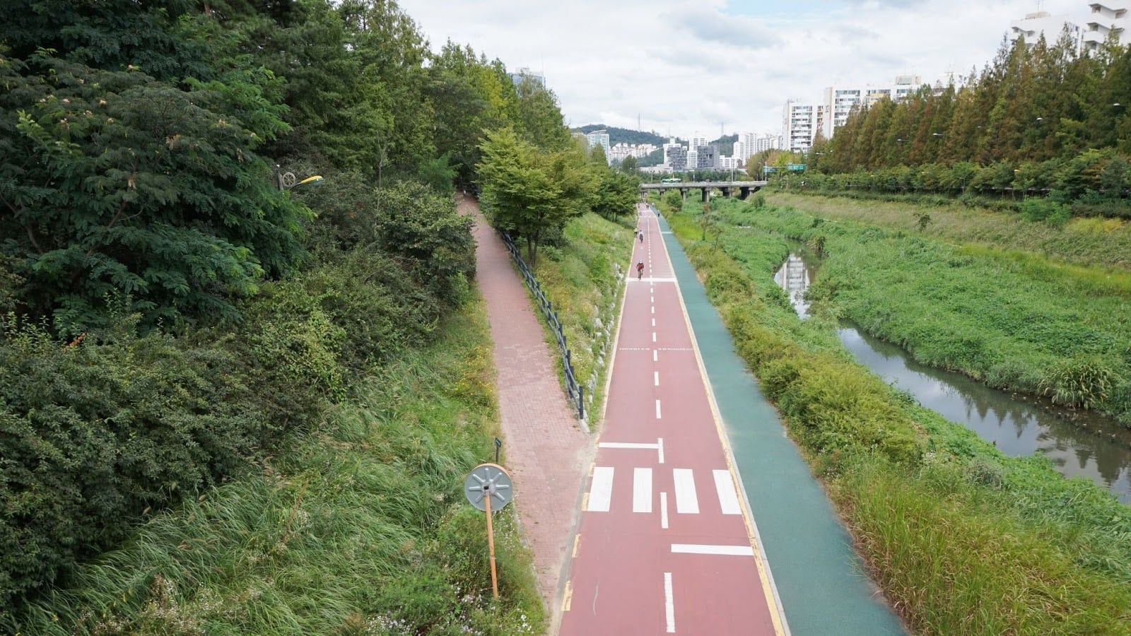 Rental bikes and scooter safety in South Korea