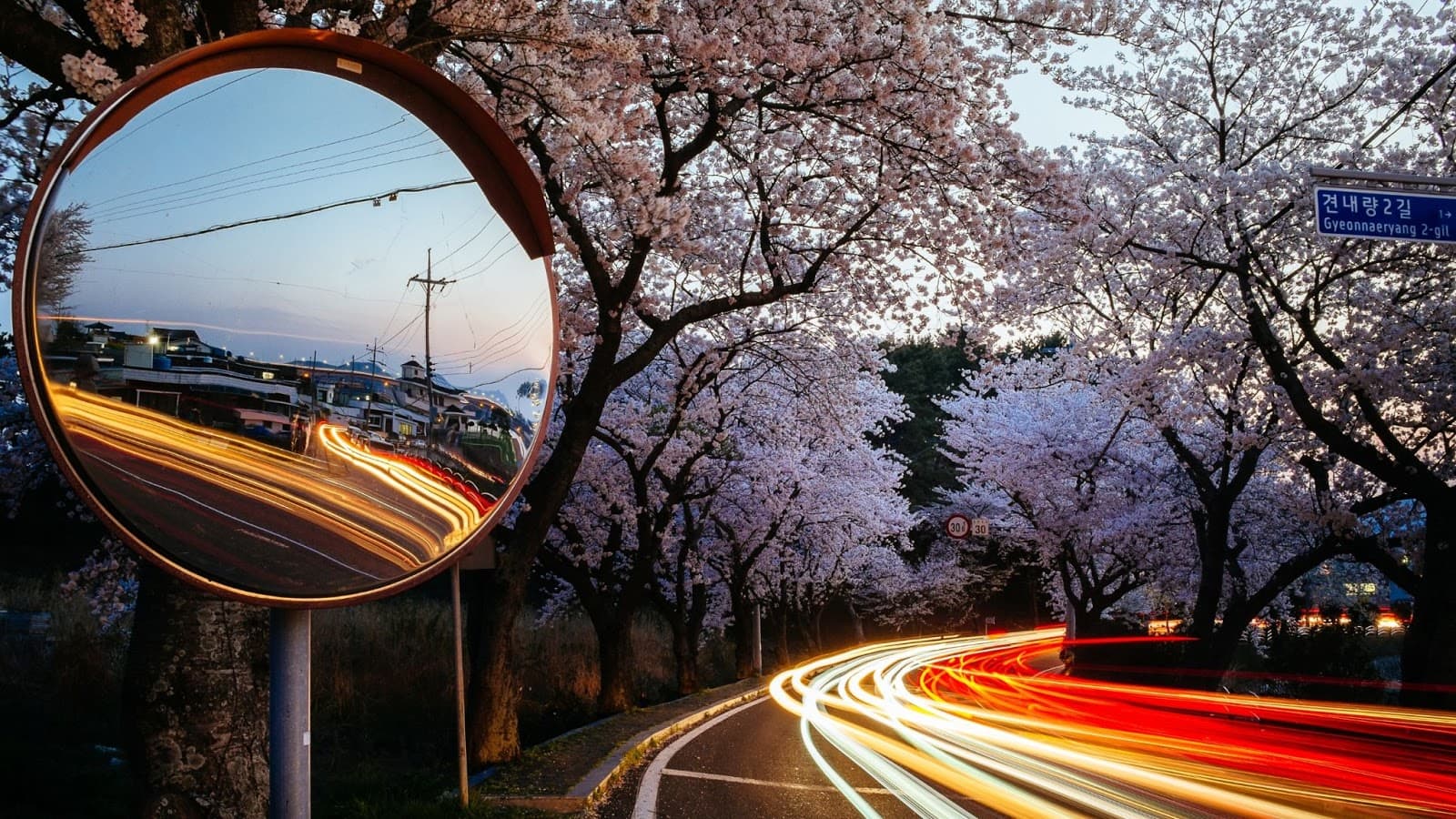 Pedestrian safety in South Korea