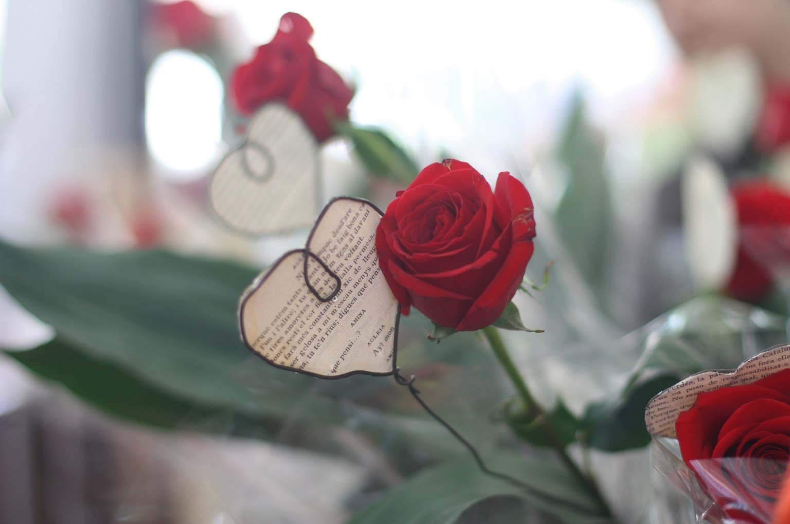 Día de Sant Jordi is Barcelona’s Valentine’s Day