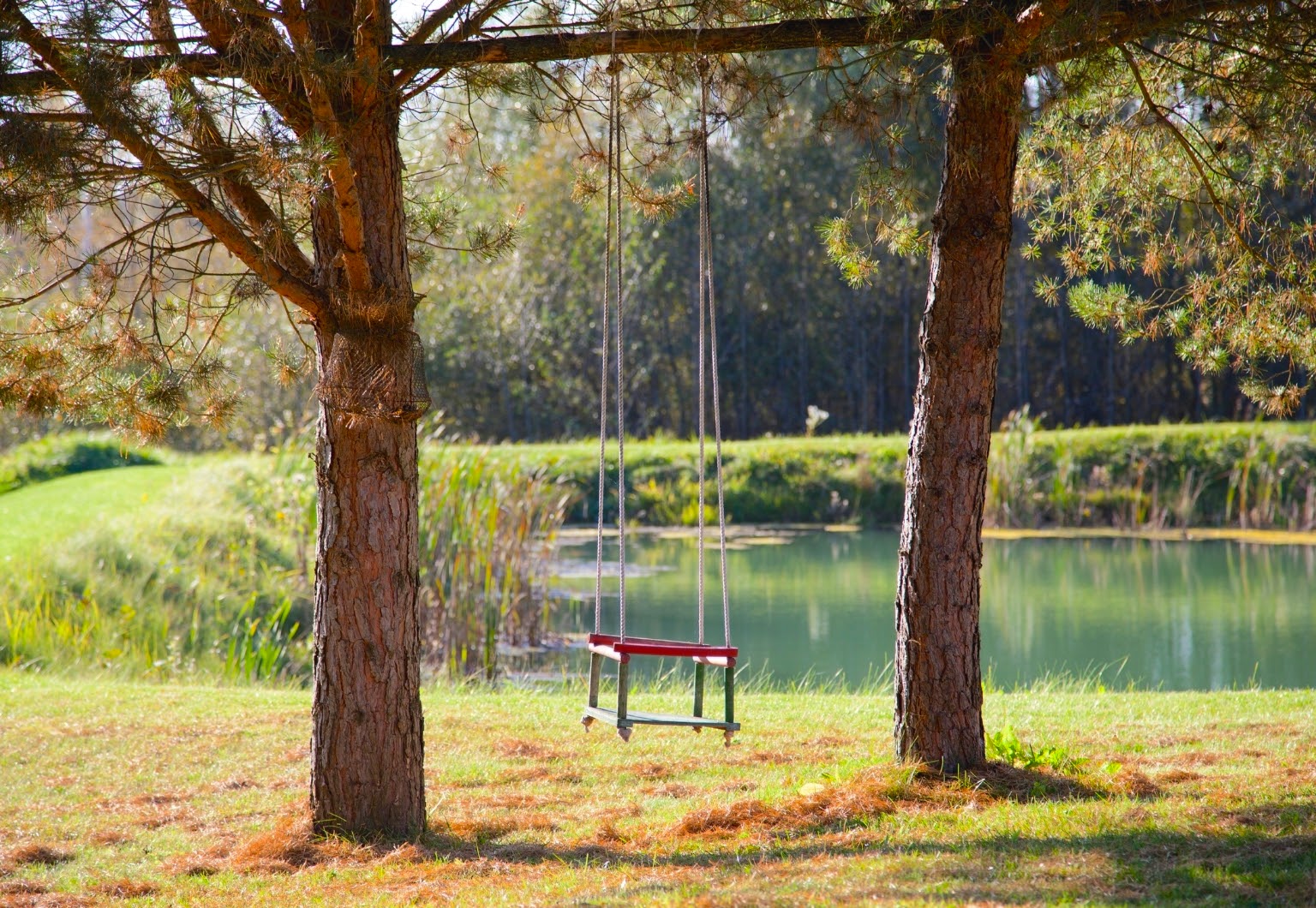 An anonymous swing in Lithuania