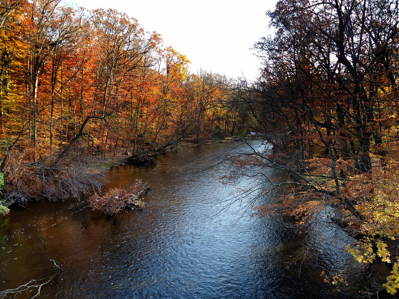 autumn in New Jersey